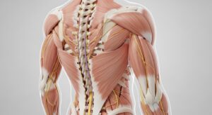 Back and Spine Injuries